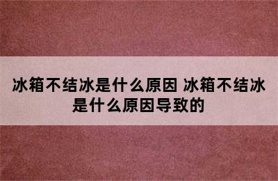 冰箱不结冰是什么原因 冰箱不结冰是什么原因导致的